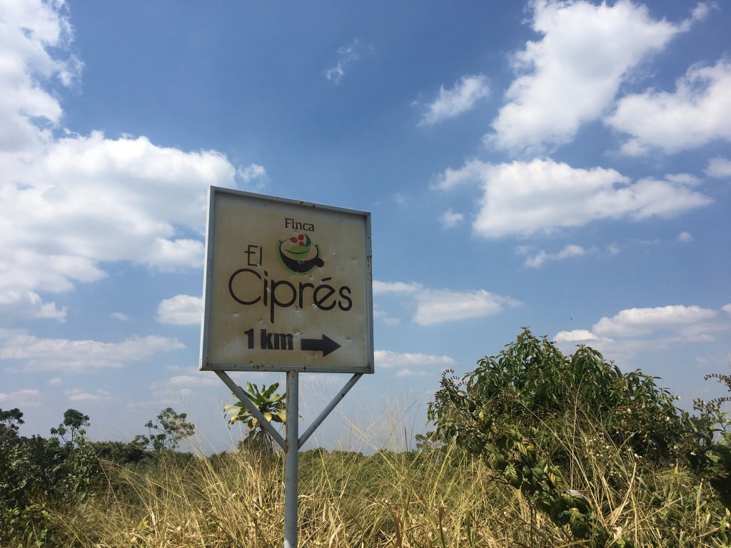 Who doesn't love a chocolate orange....