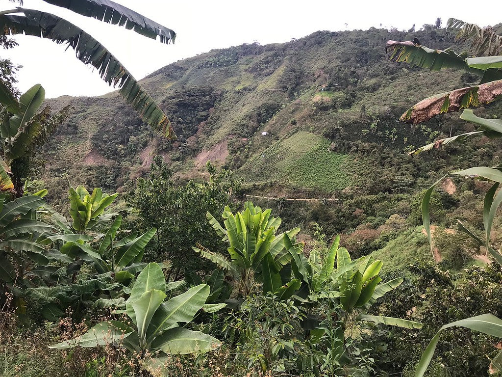 The work of brothers Antonio & Juan Mejia Paico, Peru