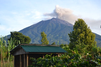 Back to Indonesia and to Kerinci-Alko