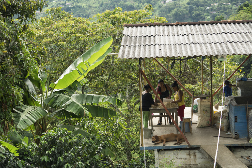 Back to Colombia we go!