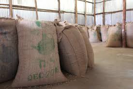 Return to Duromina, Ethiopia