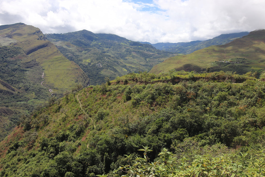 Roger Chilcon Flores from Peru