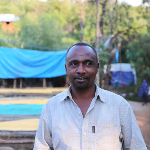 Ethiopia, Beshasha Lot 1