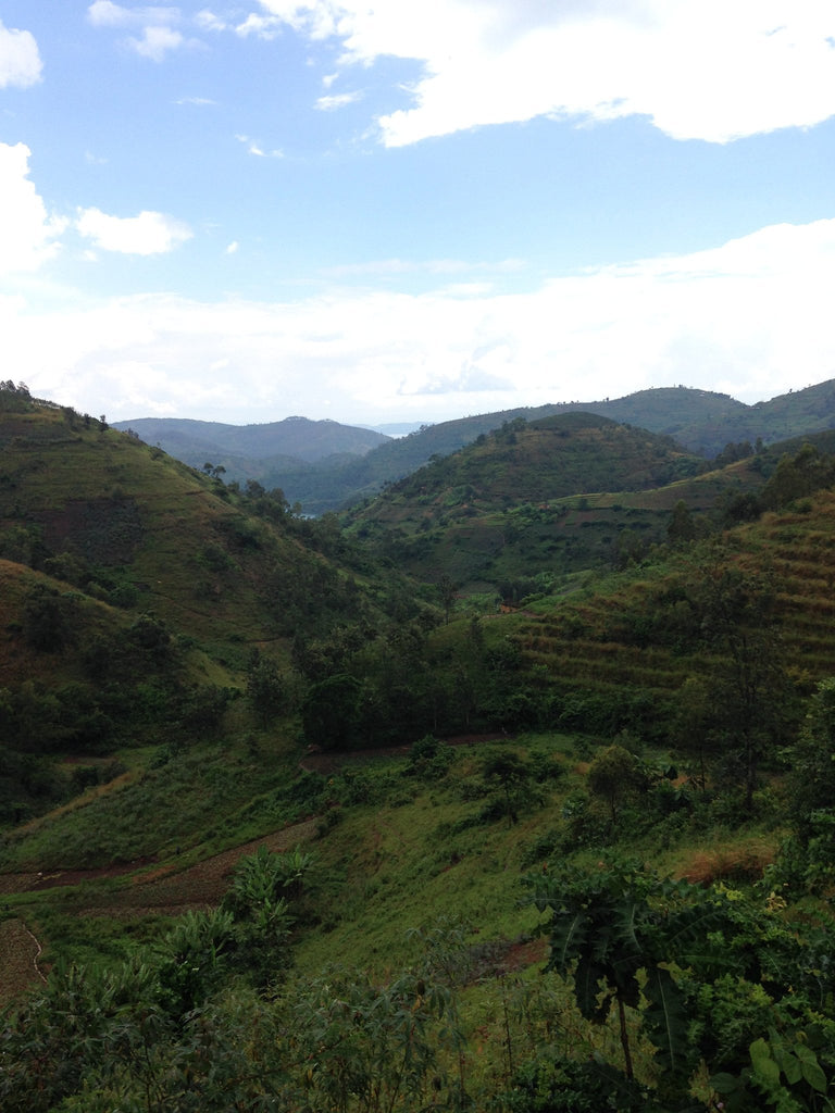 Coffee from Rwanda, Gitega Hills .. It's a new one!
