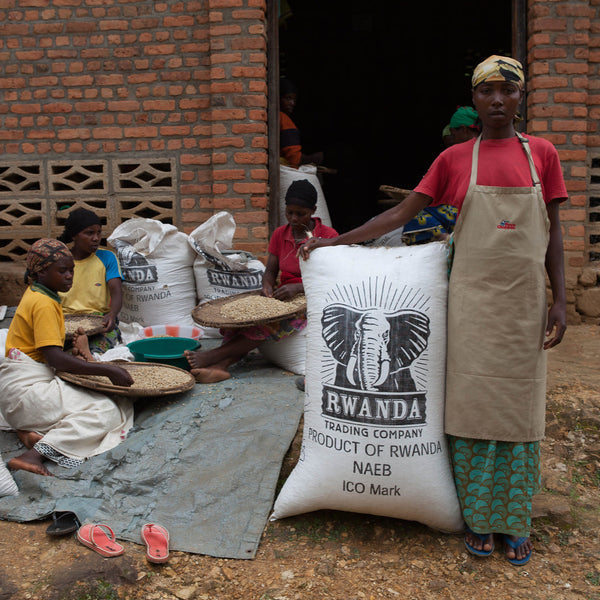 Rwanda, Nyungwe 042:  NEW