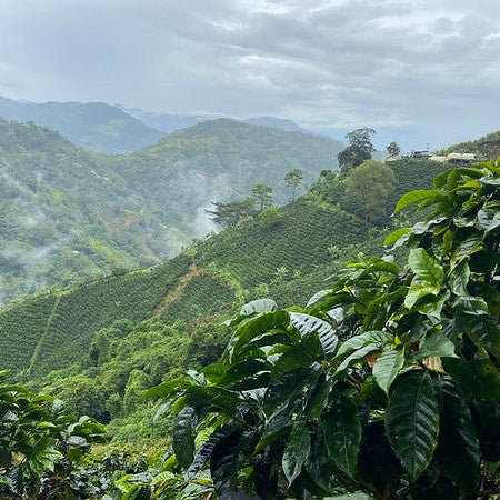 Colombia, Magdalena: NEW