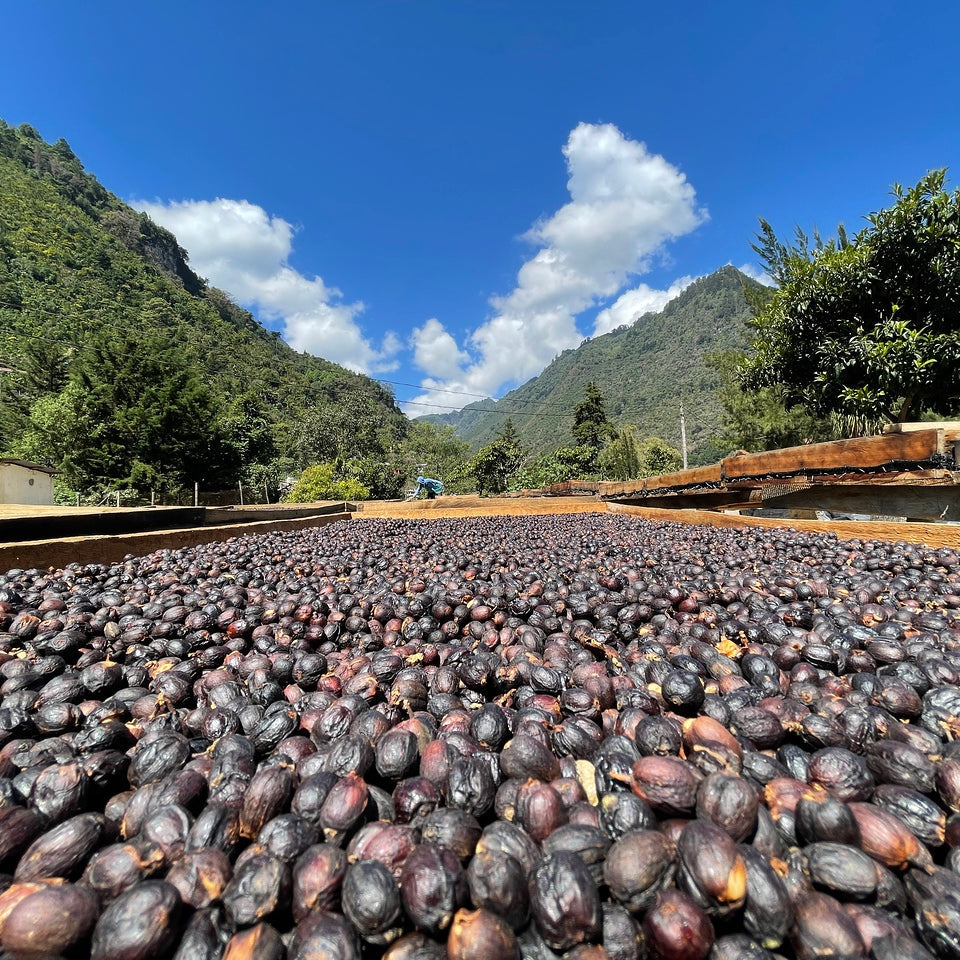 Guatemala, El Cabro II: NEW