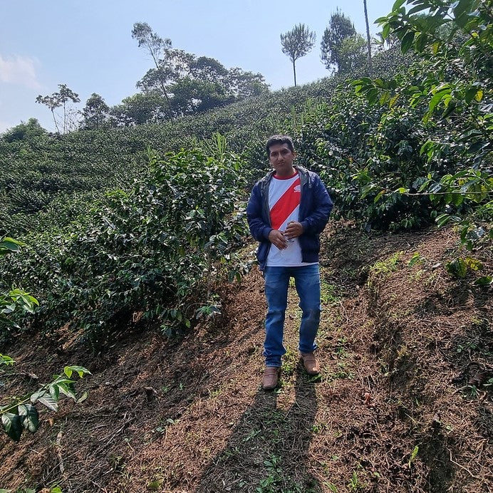 Peru, Roger Chilcon: NEW