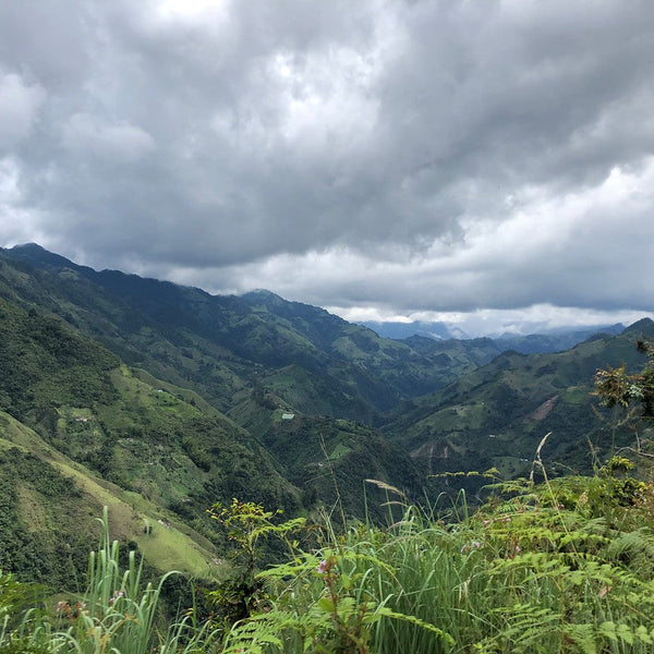 Colombia, Hilario Castrillon: NEW