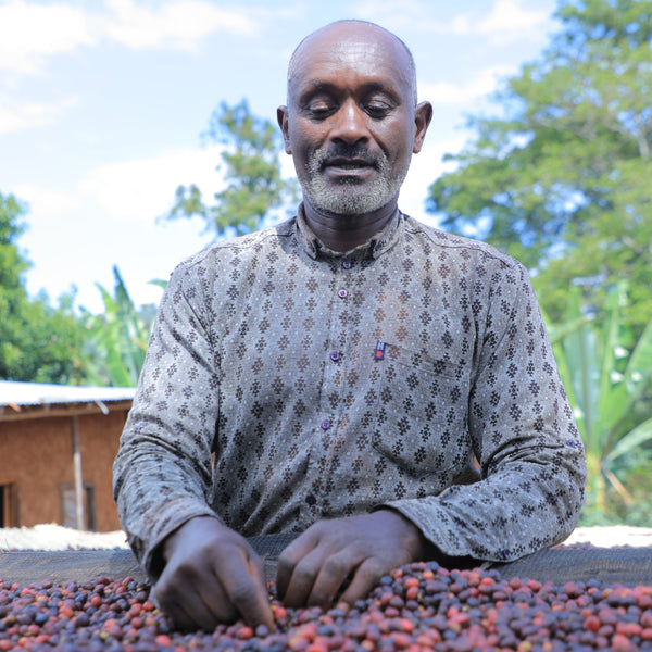 Ethiopia, Wako Jegso: NEW